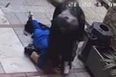 ΗΡΑΚΛΕΙΟ ΚΡΗΤΗ ΑΝΙΨΙΑ ΘΕΙΑ ΞΥΛΟΔΑΡΜΟΣ
