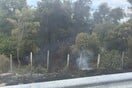 Φωτιά τώρα στον Αυλώνα - Καίγεται χαμηλή βλάστηση