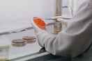 Θεσσαλονίκη: 15 θετικά κρούσματα στρεπτόκοκκου σε σχολεία κατά τη διάρκεια ελέγχων του ΕΟΔΥ