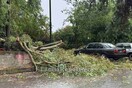 Μπουρίνι στη Λαμία: Πτώσεις δέντρων, πλημμυρισμένοι δρόμοι και πολύωρο μπλακάουτ