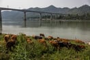 Η Κίνα «κόβει» τις επενδύσεις και οι 75 φτωχότερες χώρες του πλανήτη τρέχουν να αποπληρώσουν τα χρέη