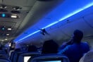 Πρωτοφανές περιστατικό σε πτήση της Delta: Περιστέρια «επιβιβάστηκαν» μέσα στο αεροσκάφος