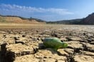 Πάνω από το 40% της Ευρώπης σε ξηρασία τον Μάιο - Ο αντίκτυπος στην Ελλάδα