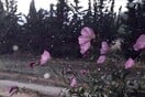 Καιρός: Χάρτες meteo για την αστάθεια - Πού αναμένονται βροχές και καταιγίδες σήμερα
