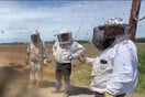 «Μην πλησιάζετε»: 250 εκατομμύρια μέλισσες απελευθερώθηκαν μετά από ανατροπή φορτηγού στις ΗΠΑ