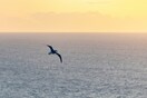 ΚΟΙΝΩΝΙΚΟΣ ΤΟΥΡΙΣΜΟΣ 2025 ΑΠΟΤΕΛΕΣΜΑΤΑ