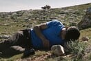 Η συνομωσία του «Πάλιγουντ» 