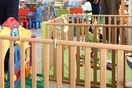 ΕΙΣΑΓΓΕΛΙΚΗ ΠΑΡΕΜΒΑΣΗ ΧΙΟΣ ΒΡΕΦΟΝΗΠΙΑΚΟΙ ΣΤΑΘΜΟΙ
