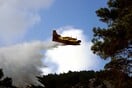 Πάτρα: Φωτιά σε δασική έκταση στην περιοχή Κάτω Βελιτσές