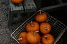 Time: «Τα 9 πιο υποτιμημένα υγιεινά τρόφιμα»