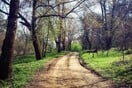 ΕΕ: Νέο σχέδιο για περιορισμένη χρήση πιστώσεων άνθρακα στους κλιματικούς στόχους του 2040