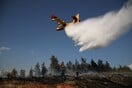 Φωτιά στην Εύβοια - Προειδοποιητικό μήνυμα μέσω του 112