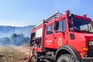 Φωτιά τώρα στην Υλίκη Θηβών