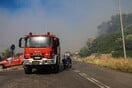 Λακωνία: Δύο συλλήψεις για τη φωτιά στο Καραβοστάσι Μονεμβασιάς