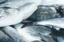 ΕΦΕΤ: Ανακαλείται συσκευασμένο ψάρι λόγω υδραργύρου