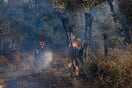 Φωτιά στη Χίο: Πώς θα εξελιχθούν σήμερα οι καιρικές συνθήκες