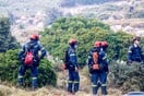 Εύβοια: Οριοθετήθηκε η φωτιά που ξέσπασε κοντά σε εργοστάσιο