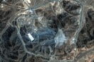 Ιράν: Οι ευρωπαϊκές υπηρεσίες δεν επιβεβαιώνουν τις αμερικανικές δηλώσεις περί «καταστροφής» των πυρηνικών