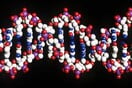 AlphaGenome: Η τεχνητή νοημοσύνη της Google «διαβάζει» τις μεταλλάξεις του DNA