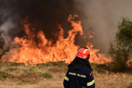 Φωτιά: Υπό έλεγχο η πυρκαγιά στη Χαλκιδική - Ενισχύθηκαν οι δυνάμεις στα Κύθηρα