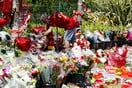 «Ένα πραγματικά ξεχωριστό άτομο»: Η Λίβερπουλ και ο προπονητής του αποχαιρετούν τον Ντιόγκο Ζότα