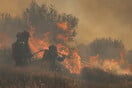 Φωτιά στην Ιεράπετρα: Μήνυμα του 112 για εκκένωση 4 περιοχών