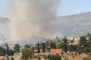 Φωτιά στην Αλυκή Βοιωτίας: «Προλάβαμε τα χειρότερα» - Εκτός κινδύνου ο οικισμός