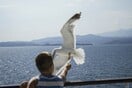 Καιρός - Τσατραφύλλιας: Δύσκολο το επόμενο 48ώρο για τη χώρα με καταβάτες ανέμους και καύσωνα