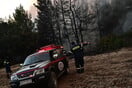 Φωτιά στον Ωρωπό: ;Επιχειρούν ξανά τα εναέρια μέσα - Μάχη με τους ανέμους