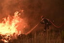 Φωτιά στη Θάσο: Εκτός ελέγχου το μέτωπο – Καταστράφηκε beach bar, εκκενώθηκαν ξενοδοχεία