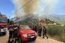 Μεγάλη φωτιά στο Αίγιο: Ισχυρές δυνάμεις της Πυροσβεστικής στις Νερατζιές - Σηκώθηκαν 5 εναέρια μέσα