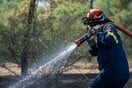 Χαλκιδική: Απαγόρευση κυκλοφορίας σε ορισμένες περιοχές αύριο λόγω υψηλού κινδύνου φωτιάς