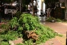 Τροχαίο στο Κολωνάκι: Η ανακοίνωση του Υπουργείου Υγείας - Στο ΚΑΤ έξι τραυματίες