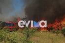 Φωτιά στο Αλιβέρι: «Η φωτιά είναι κοντά σε σπίτια» λέει ο αντιδήμαρχος