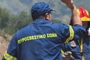 Φωτιά τώρα στη Λέσβο: Σπεύδει στο σημείο η Πυροσβεστική