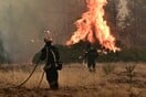 Κιλκίς: Κάηκαν 70 ζώα από τη φωτιά στους Αγίους Αποστόλους