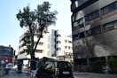 Φωτιά - Metropolitan: Ξέσπασε από τις γεννήτριες στο υπόγειο - Απαγορεύεται η είσοδος στο νοσοκομείο