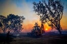 Συνολάκης για φωτιές: Προκαλούνται επειδή η πόλη έχει επεκταθεί στο δάσος