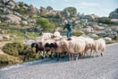 «Άνθρωπων Έργα»: Η έκθεση φωτογραφίας της Έβελυν Φωσκόλου στην Τήνο 