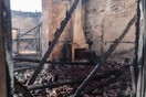 ΦΩΤΙΕΣ ΚΑΜΕΝΑ ΣΤΡΕΜΜΑΤΑ