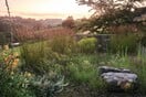 Ένας κήπος στο Hillside του Somerset που σφύζει από ζωή