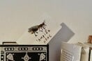 Αποκαλόκαιρο στο Ατελιέ του Αλέκου Φασιανού στην Κέα