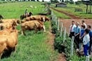 Βραζιλία: Η απειλή Τραμπ για δασμούς 50% σε πορτοκάλια, καφέ και βοδινό φέρνει αναταραχή στους αγρότες