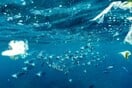 Μικροπλαστικά: Η «μάχη Δαβίδ και Γολιάθ» για το περιβάλλον