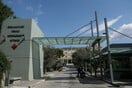 Γεωργιάδης για θάνατο Λένας Σαμαρά: Ο νευρολόγος του Σισμανόγλειου ζήτησε τη μεταφορά της στον Ευαγγελισμό