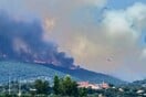 Φωτιά τώρα στα Πετράλωνα Μεσσηνίας - Μήνυμα 112 στους κατοίκους