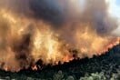 Καύσωνας και φωτιές σε Ισπανία και Τουρκία: Δεκάδες νεκροί, χιλιάδες εκκενώσεις