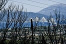 Φωτιές τώρα: Καταστροφή σε Πάτρα, Χίο, Πρέβεζα και Ζάκυνθο