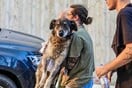 Οι φωτιές στην Πάτρα έκαψαν κάτι μέσα μου
