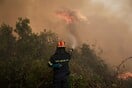 Μυτιλήνη: 57χρονος ομολόγησε στις Αρχές τέσσερις εμπρησμούς στο νησί